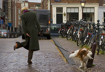 Amsterdam Streetsm.jpg