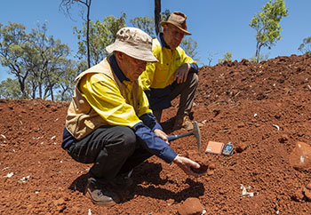 Mt Rosey Mine sm.jpg